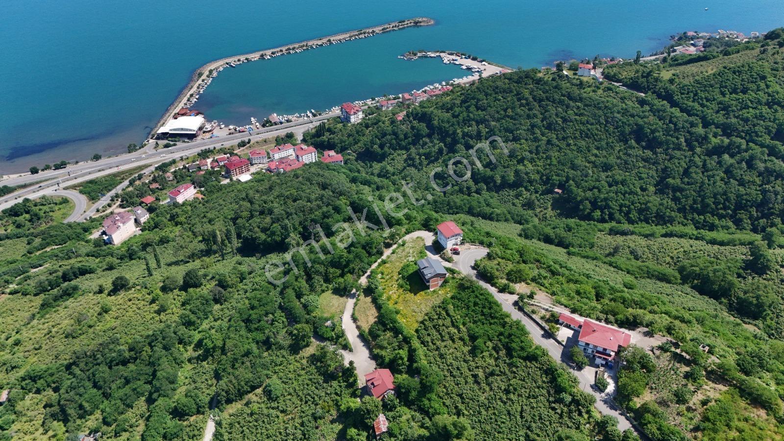 Ordu Hekimoğlu Emlak Boztepe Mh Satılık Arsa Ve Üç Katlı Bina — fotoğraf 8
