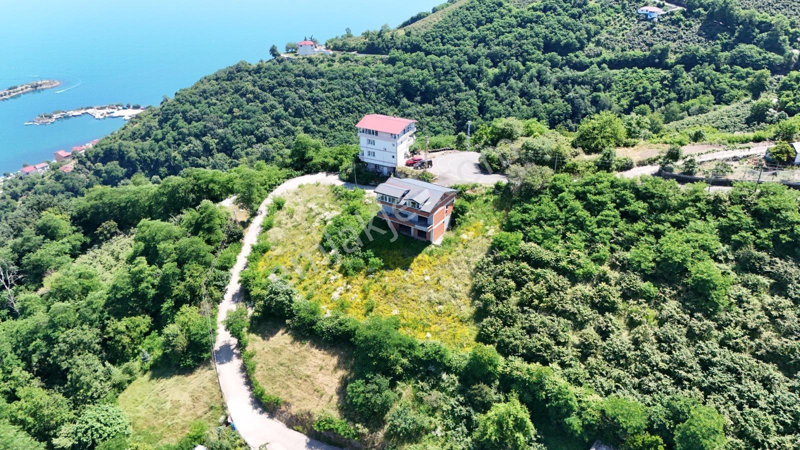 Ordu Hekimoğlu Emlak Boztepe Mh Satılık Arsa Ve Üç Katlı Bina — fotoğraf 9