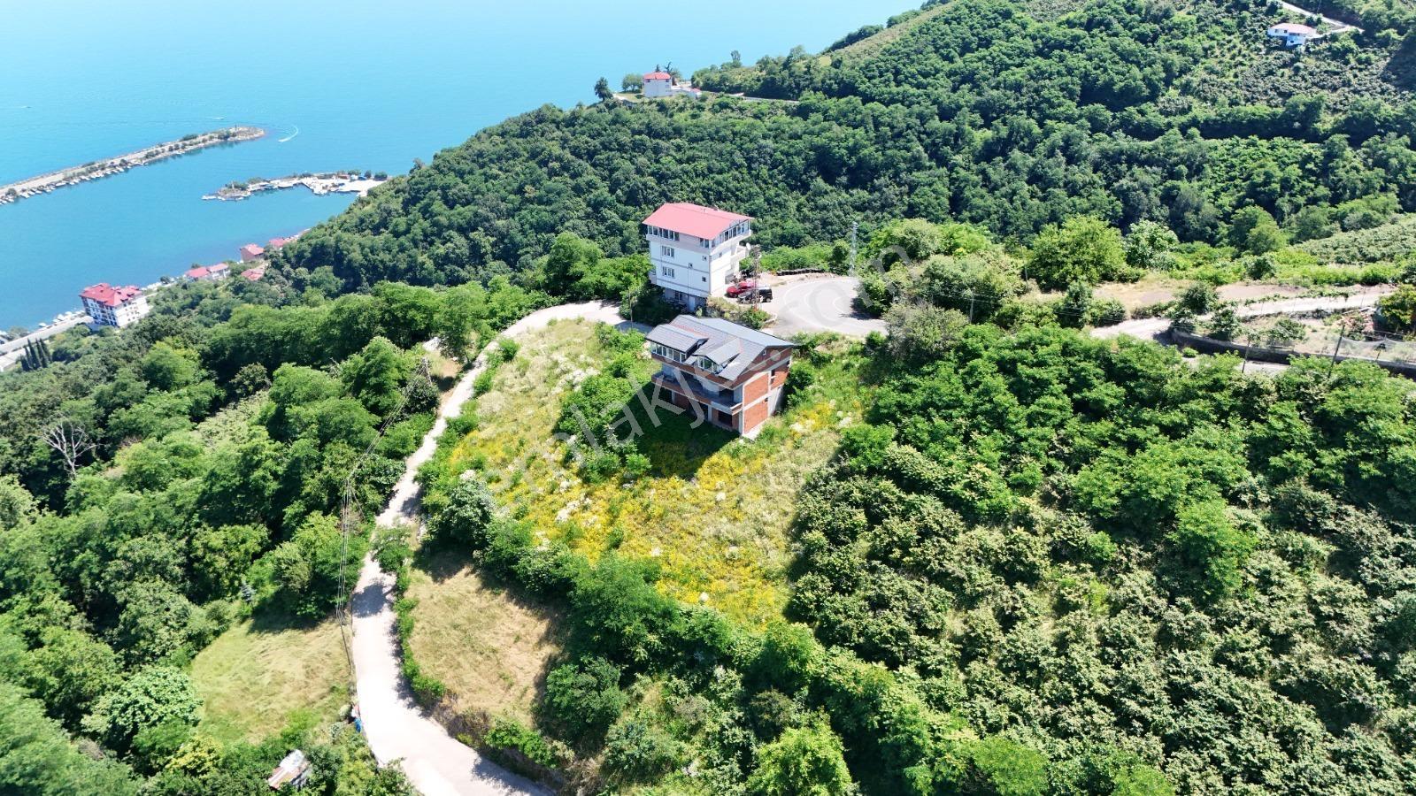 Ordu Hekimoğlu Emlak Boztepe Mh Satılık Arsa Ve Üç Katlı Bina — fotoğraf 10