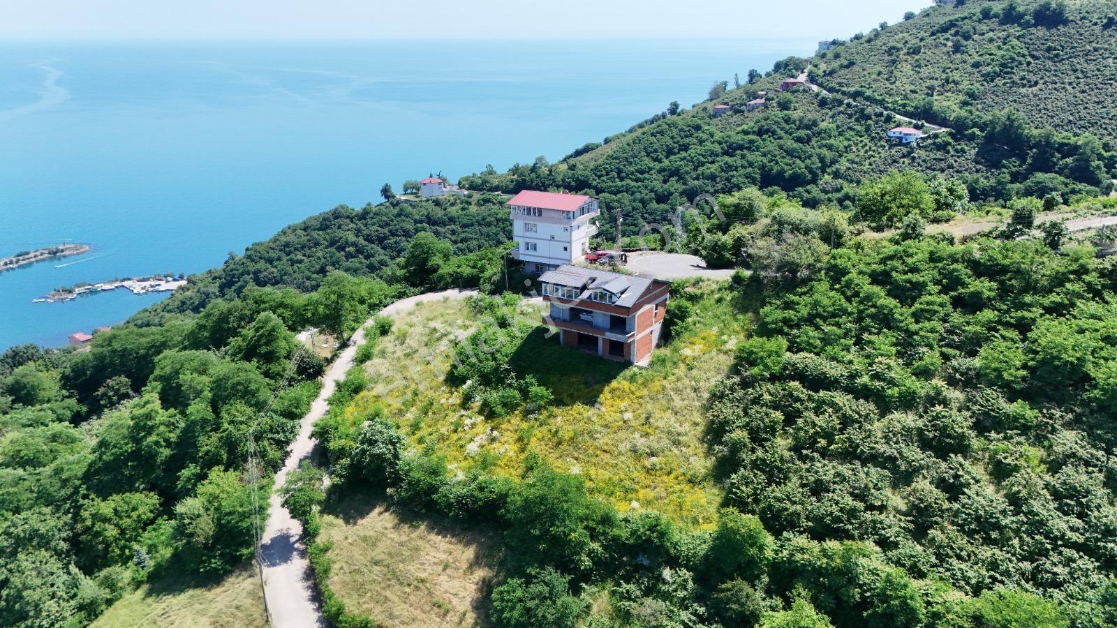 Ordu Hekimoğlu Emlak Boztepe Mh Satılık Arsa Ve Üç Katlı Bina — fotoğraf 11