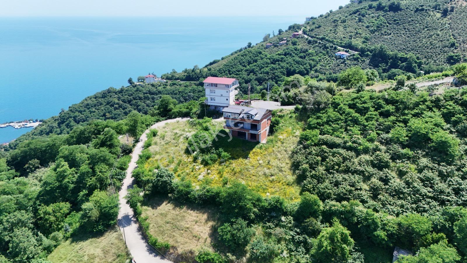 Ordu Hekimoğlu Emlak Boztepe Mh Satılık Arsa Ve Üç Katlı Bina — fotoğraf 12