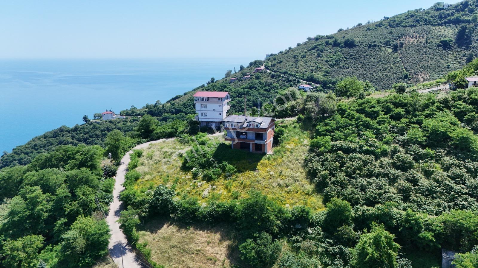 Ordu Hekimoğlu Emlak Boztepe Mh Satılık Arsa Ve Üç Katlı Bina — fotoğraf 13