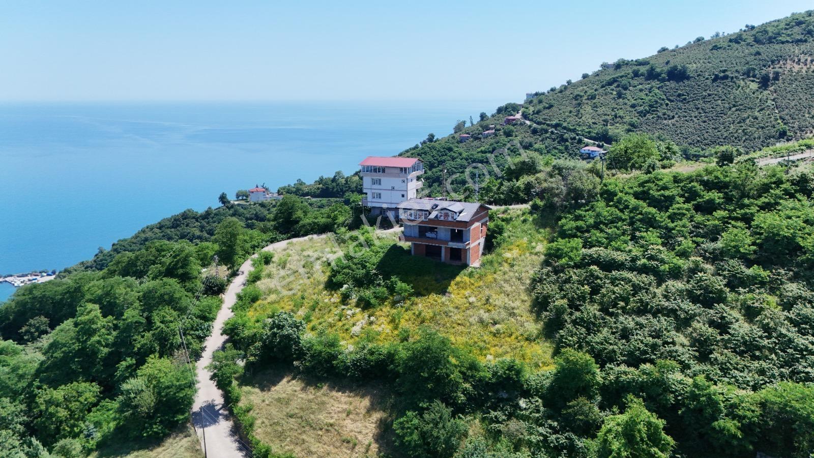Ordu Hekimoğlu Emlak Boztepe Mh Satılık Arsa Ve Üç Katlı Bina — fotoğraf 14