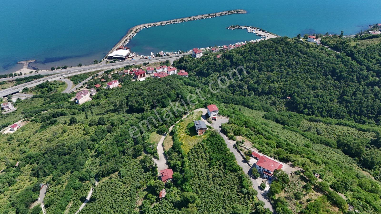 Ordu Hekimoğlu Emlak Boztepe Mh Satılık Arsa Ve Üç Katlı Bina — fotoğraf 15