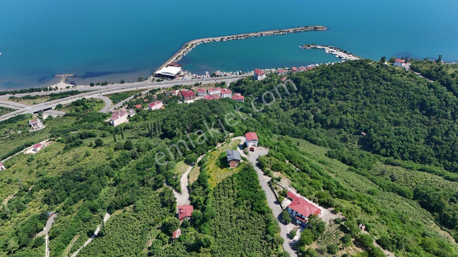 Ordu Hekimoğlu Emlak Boztepe Mh Satılık Arsa Ve Üç Katlı Bina — fotoğraf 16