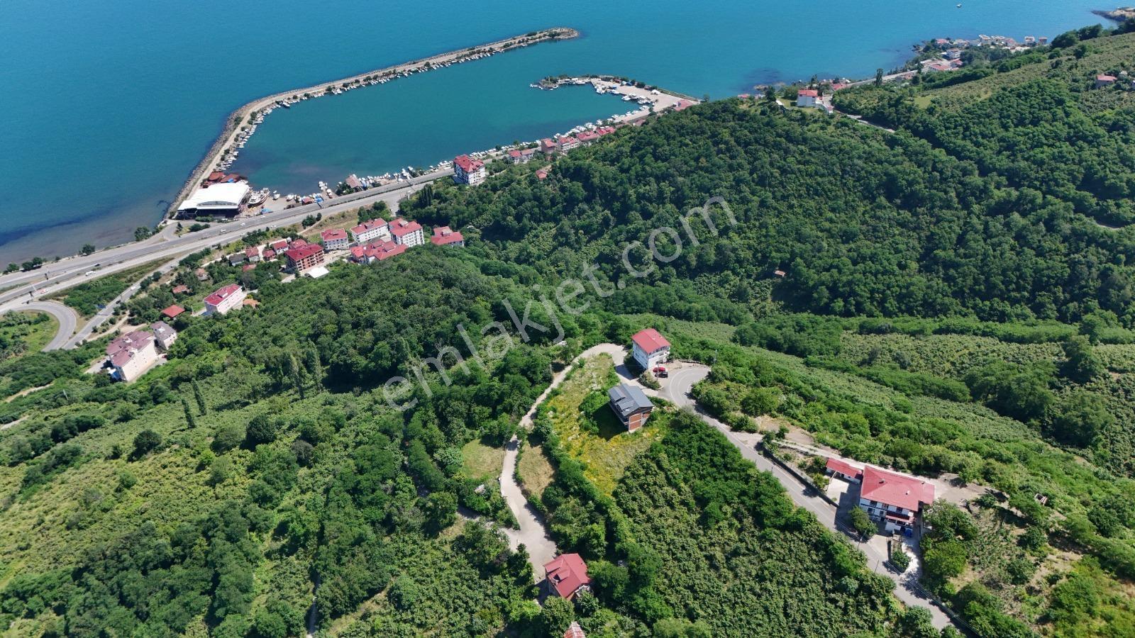 Ordu Hekimoğlu Emlak Boztepe Mh Satılık Arsa Ve Üç Katlı Bina — fotoğraf 17