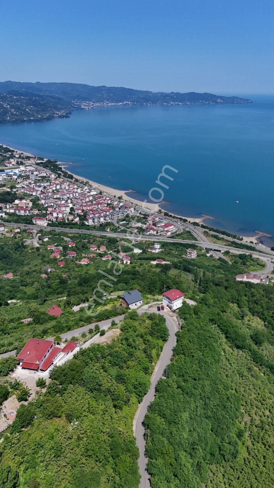 Ordu Hekimoğlu Emlak Boztepe Mh Satılık Arsa Ve Üç Katlı Bina — fotoğraf 18