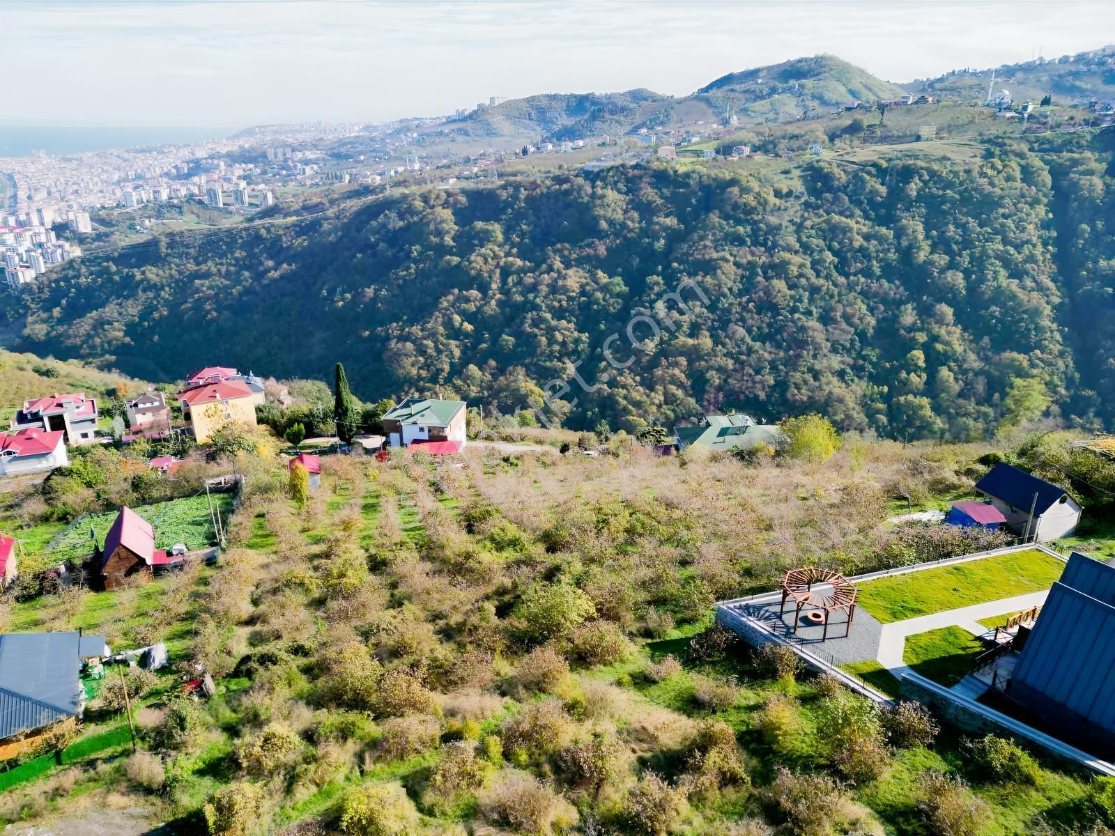 Akyazıda Deniz, Doğa & Şehir Manzaralı Yatırım Fırsatı — fotoğraf 10