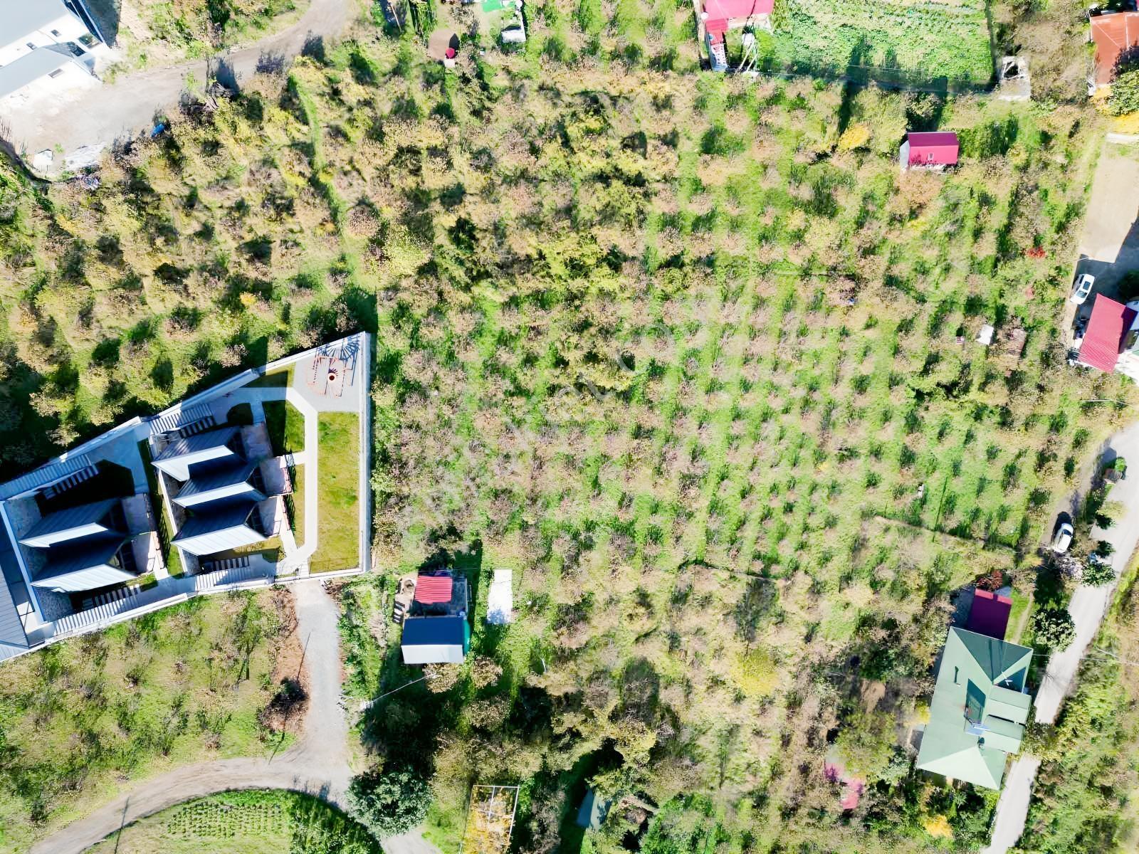 Akyazıda Deniz, Doğa & Şehir Manzaralı Yatırım Fırsatı — fotoğraf 16