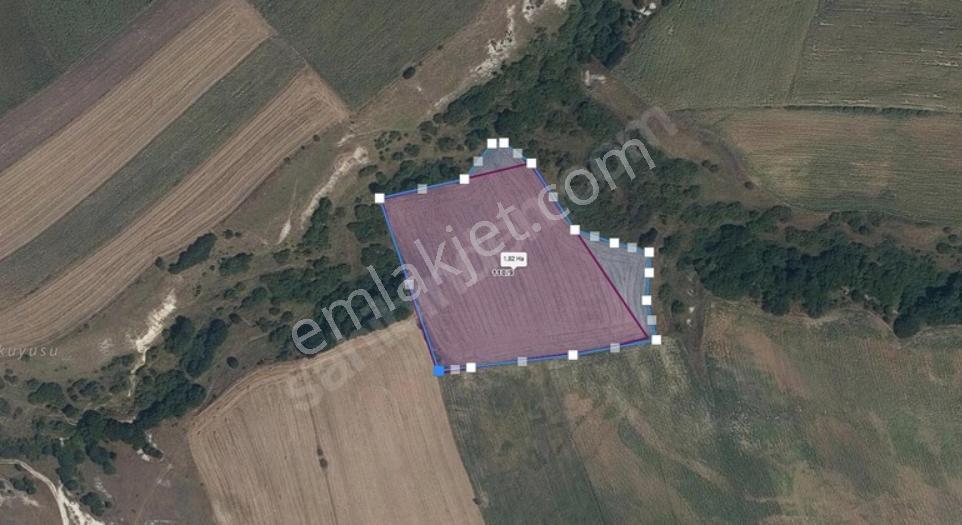 Turyap'tan Tekirdağ Saraylı/sinanli Satılık Fırsat Tarla — fotoğraf 3