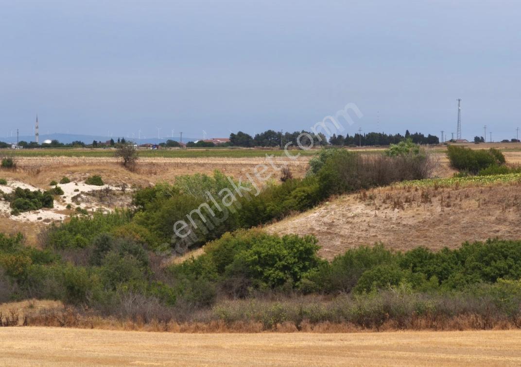Turyap'tan Tekirdağ Saraylı/sinanli Satılık Fırsat Tarla — fotoğraf 7