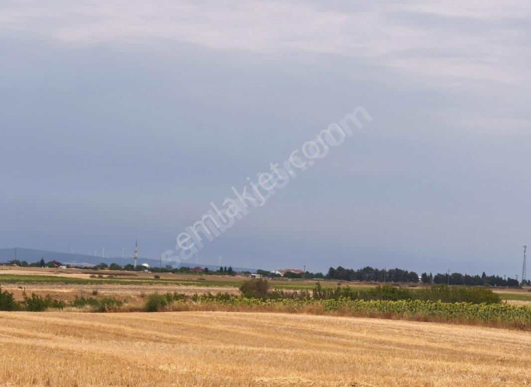 Turyap'tan Tekirdağ Saraylı/sinanli Satılık Fırsat Tarla — fotoğraf 8