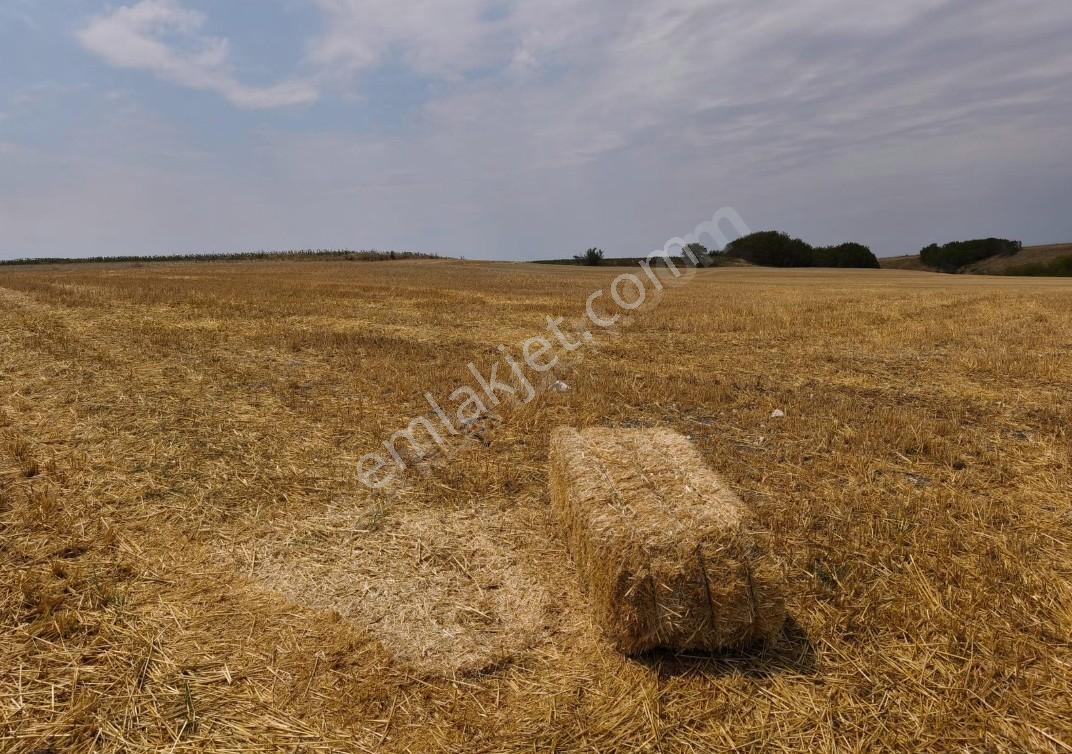 Turyap'tan Tekirdağ Saraylı/sinanli Satılık Fırsat Tarla — fotoğraf 9