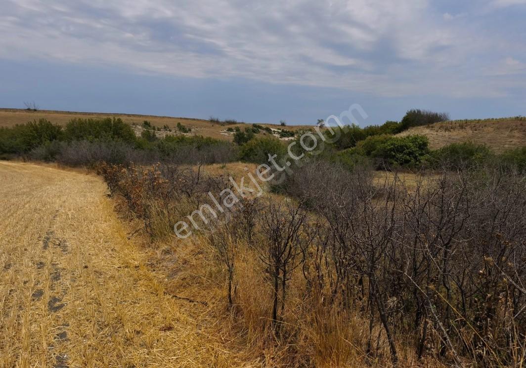 Turyap'tan Tekirdağ Saraylı/sinanli Satılık Fırsat Tarla — fotoğraf 10
