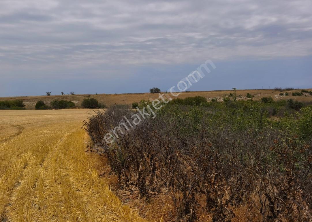 Turyap'tan Tekirdağ Saraylı/sinanli Satılık Fırsat Tarla — fotoğraf 11