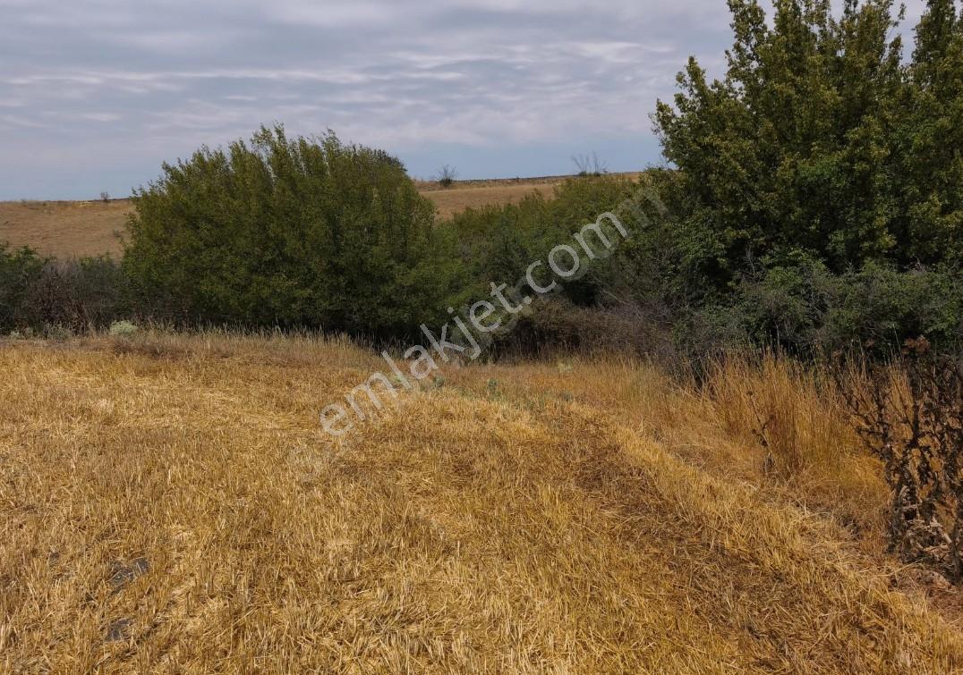 Turyap'tan Tekirdağ Saraylı/sinanli Satılık Fırsat Tarla — fotoğraf 12