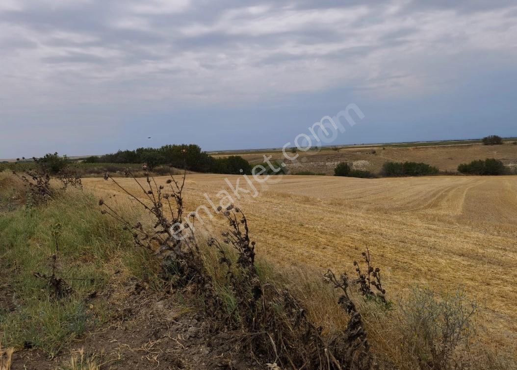 Turyap'tan Tekirdağ Saraylı/sinanli Satılık Fırsat Tarla — fotoğraf 13