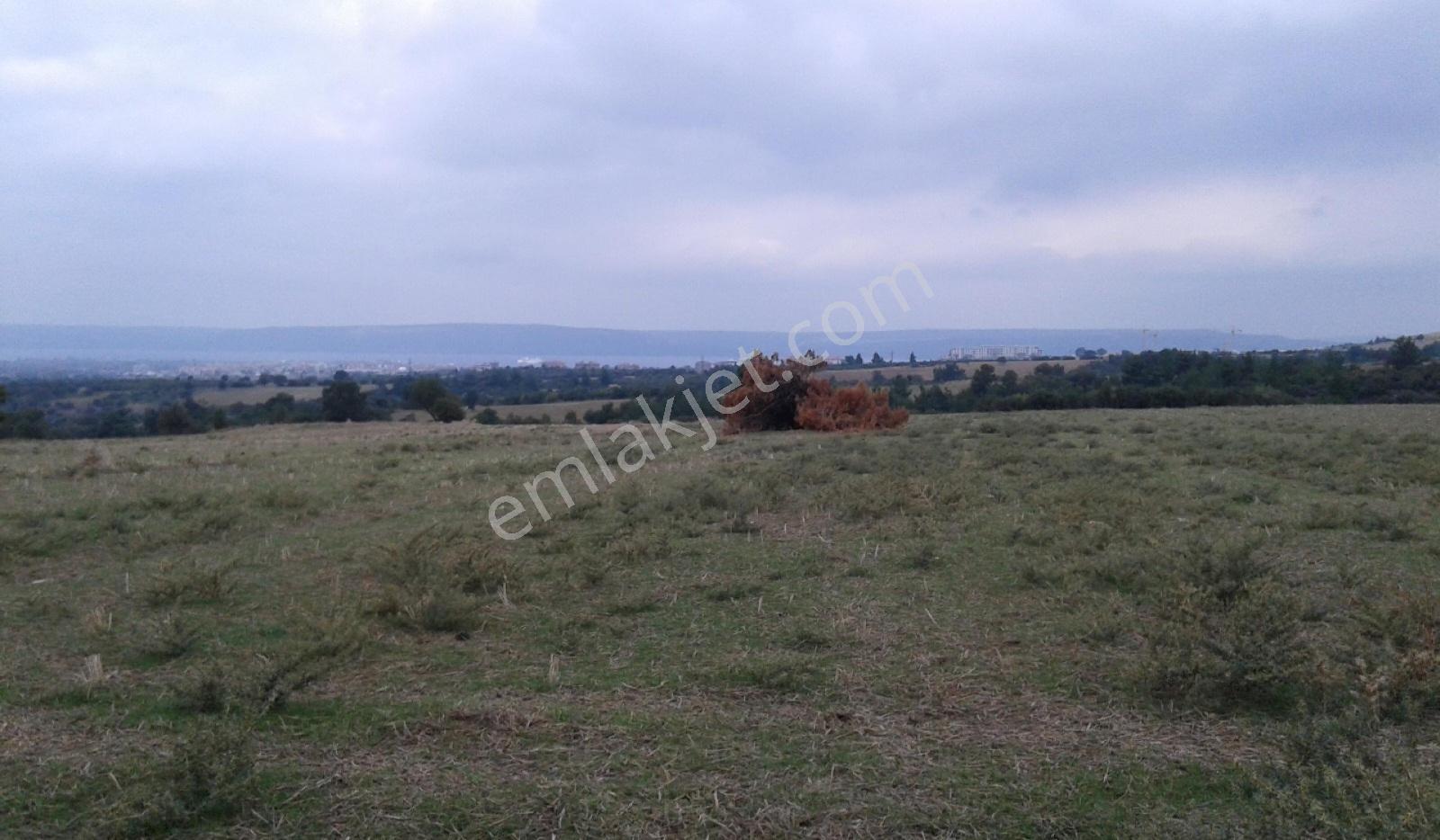 Merkez Kalabaklı Köyünde Deniz Mnz Yerleşime Yakın Satılık Tarla