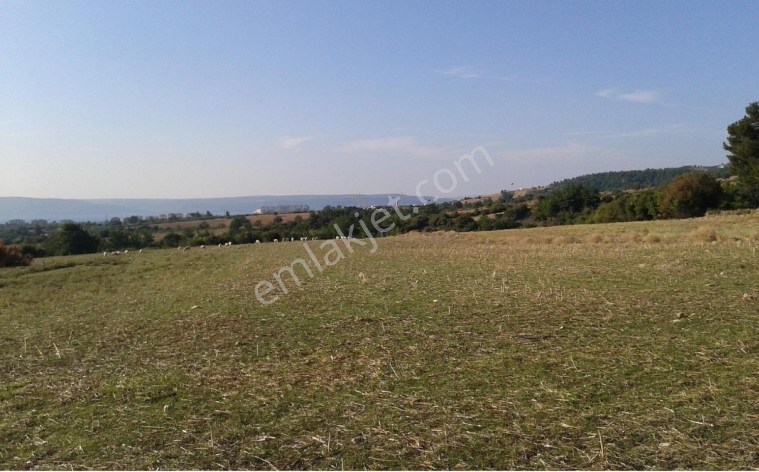 Merkez Kalabaklı Köyünde Deniz Mnz Yerleşime Yakın Satılık Tarla — fotoğraf 3