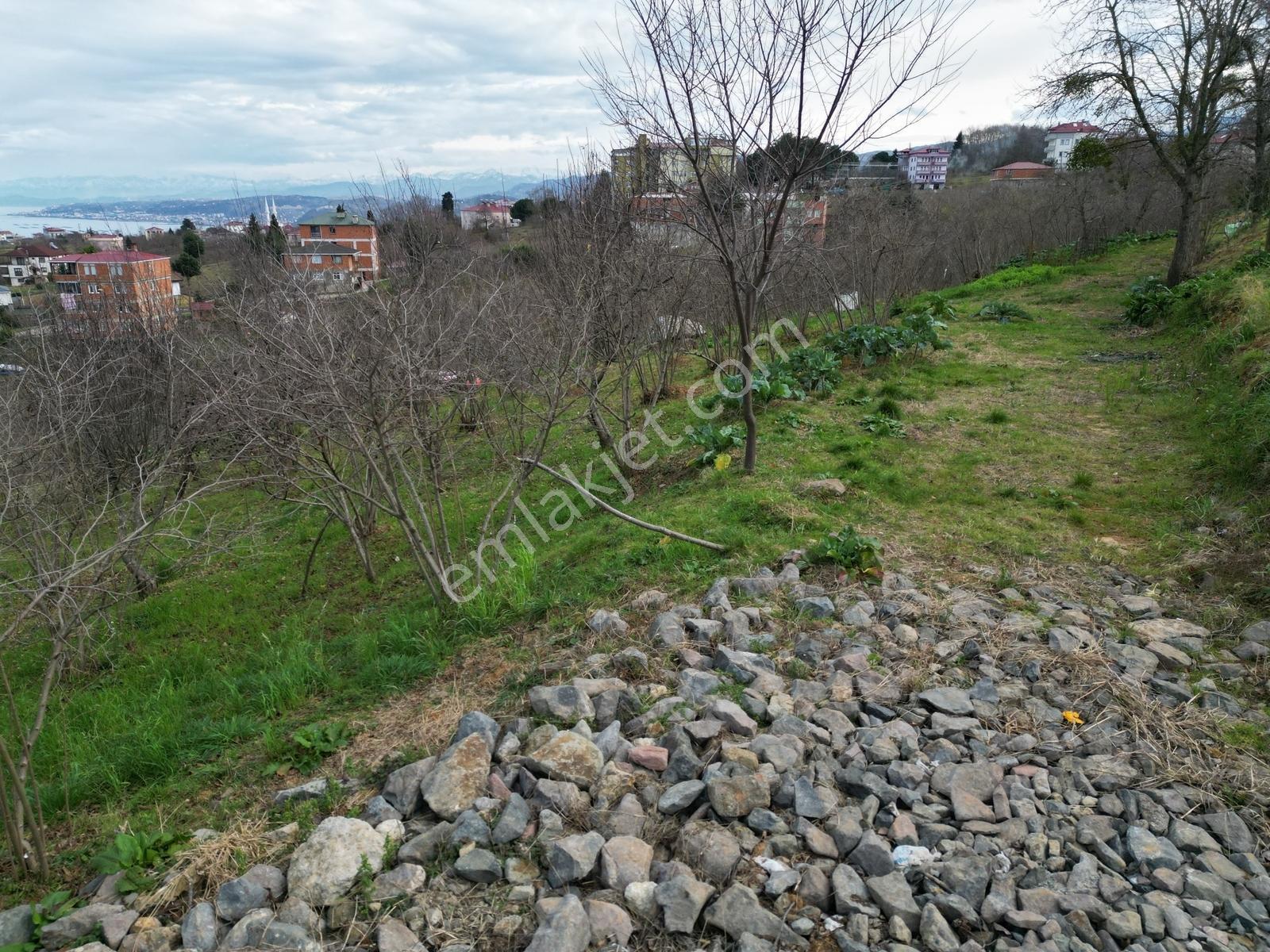 Çimenlide Deniz Manzaralı Villa İmarlı Arsa — fotoğraf 16