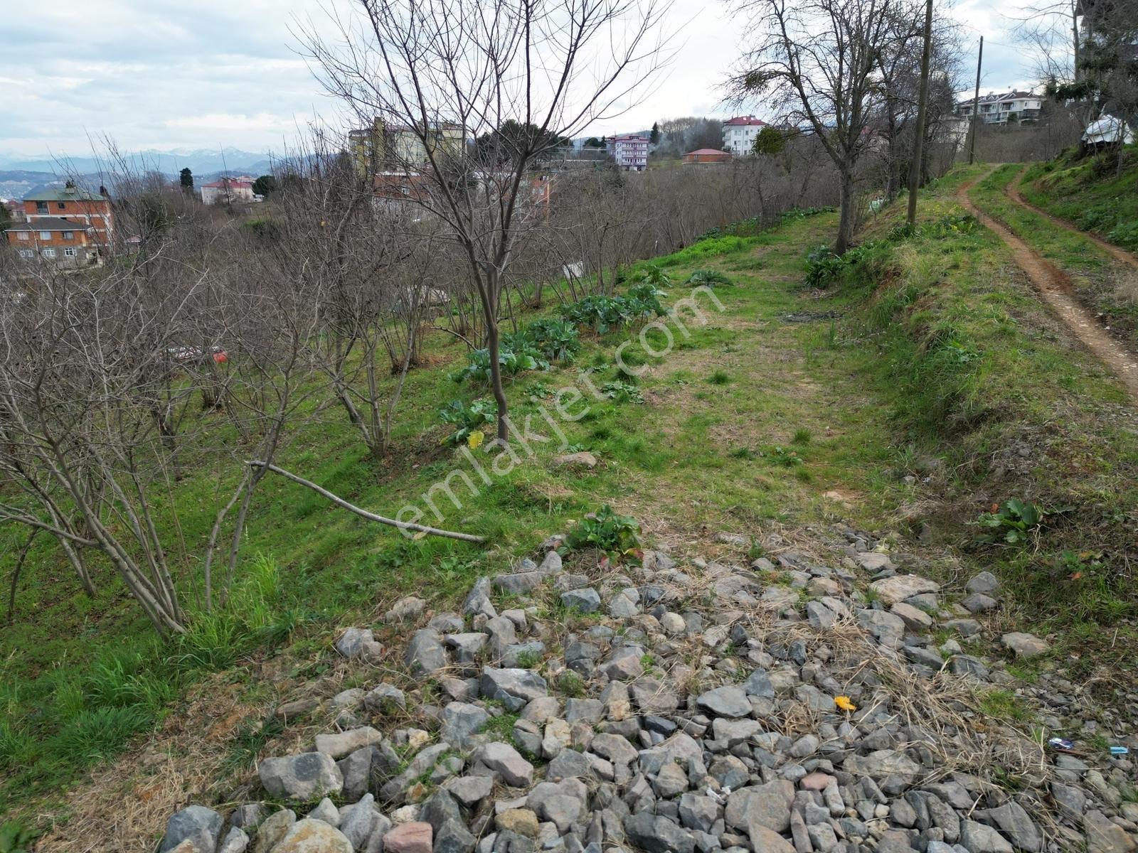 Çimenlide Deniz Manzaralı Villa İmarlı Arsa — fotoğraf 17