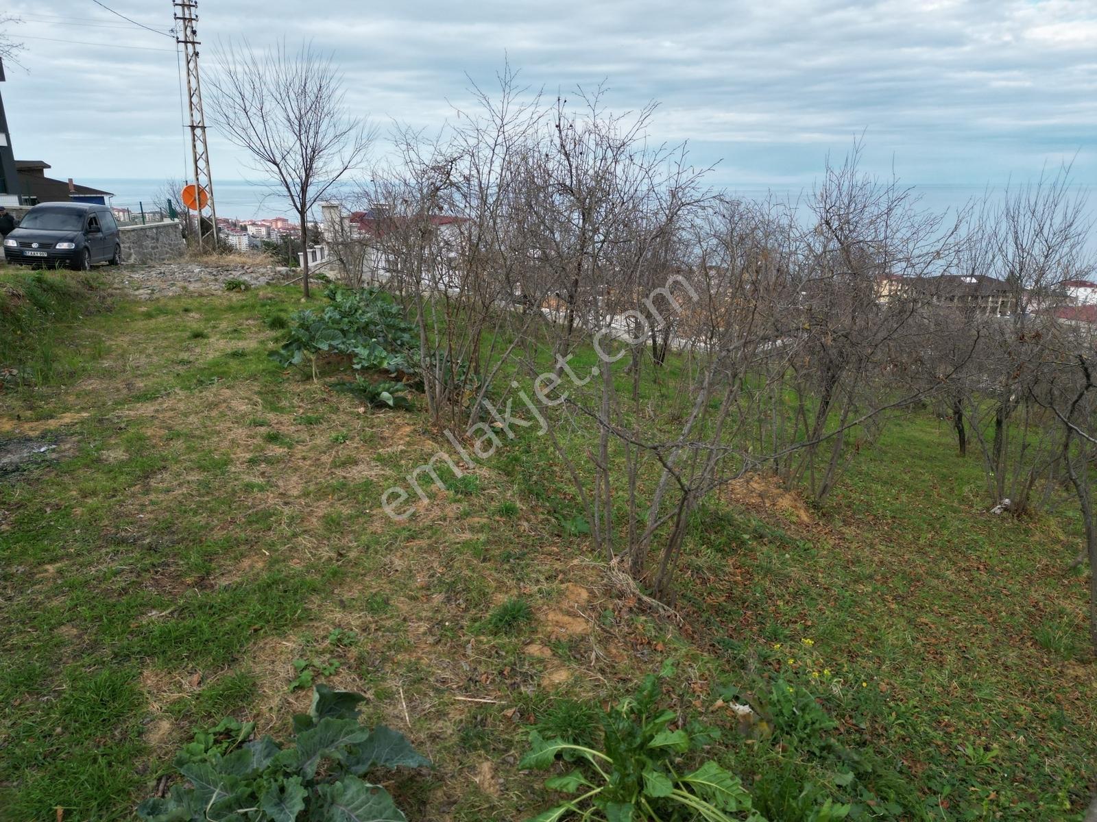 Çimenlide Deniz Manzaralı Villa İmarlı Arsa — fotoğraf 18