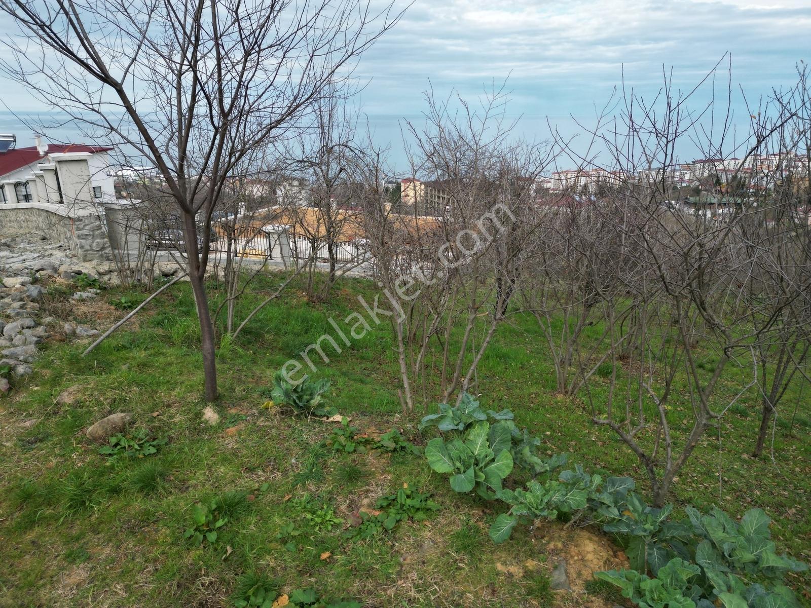 Çimenlide Deniz Manzaralı Villa İmarlı Arsa — fotoğraf 19