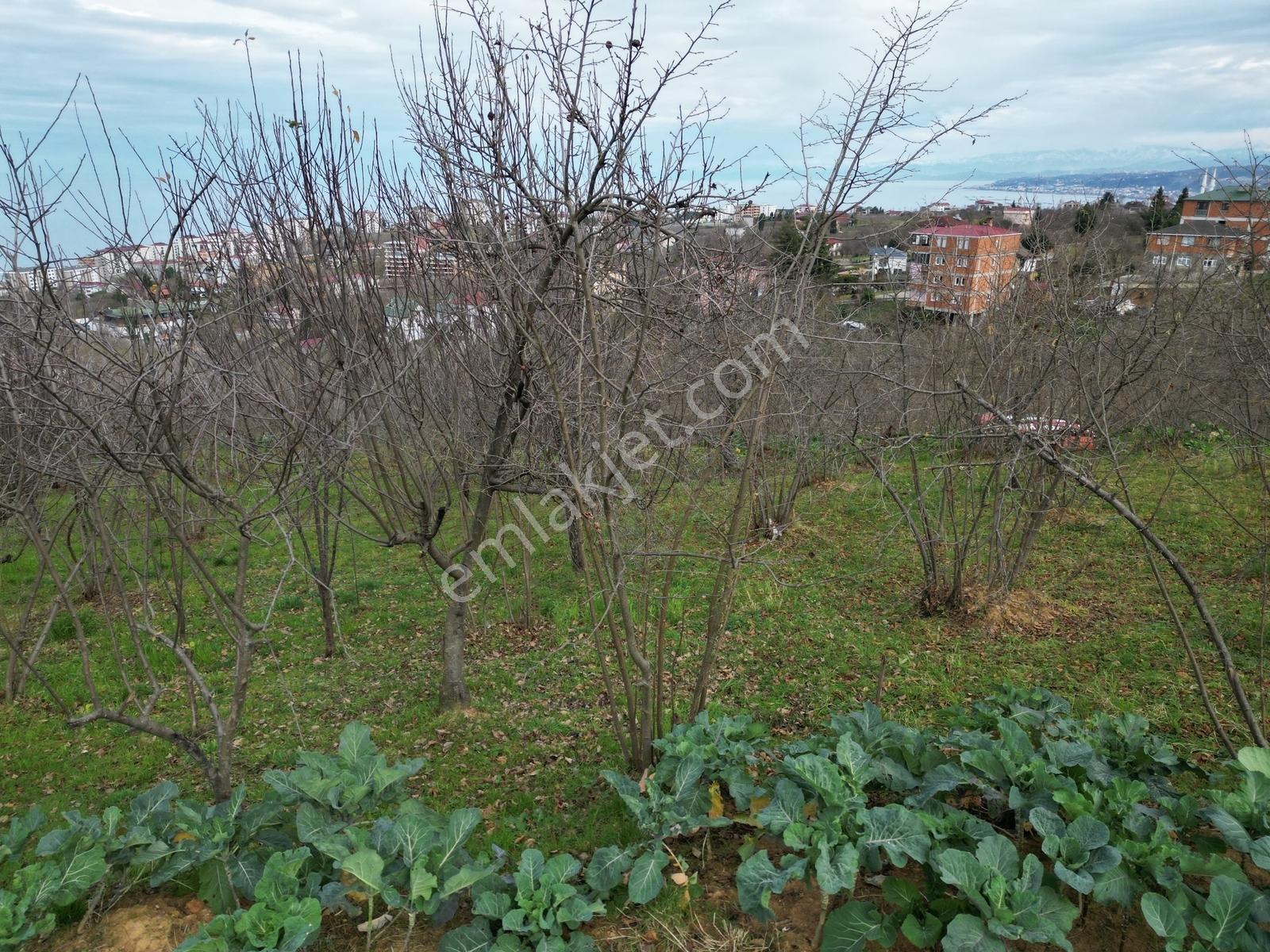 Çimenlide Deniz Manzaralı Villa İmarlı Arsa — fotoğraf 20