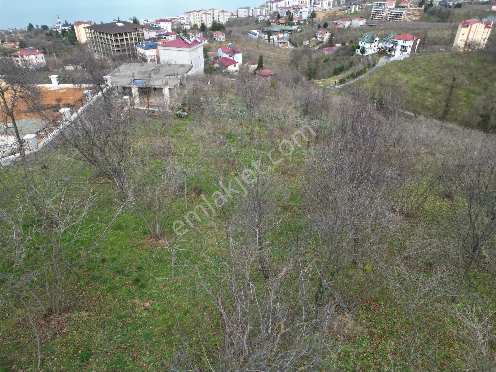 Çimenlide Deniz Manzaralı Villa İmarlı Arsa — fotoğraf 21