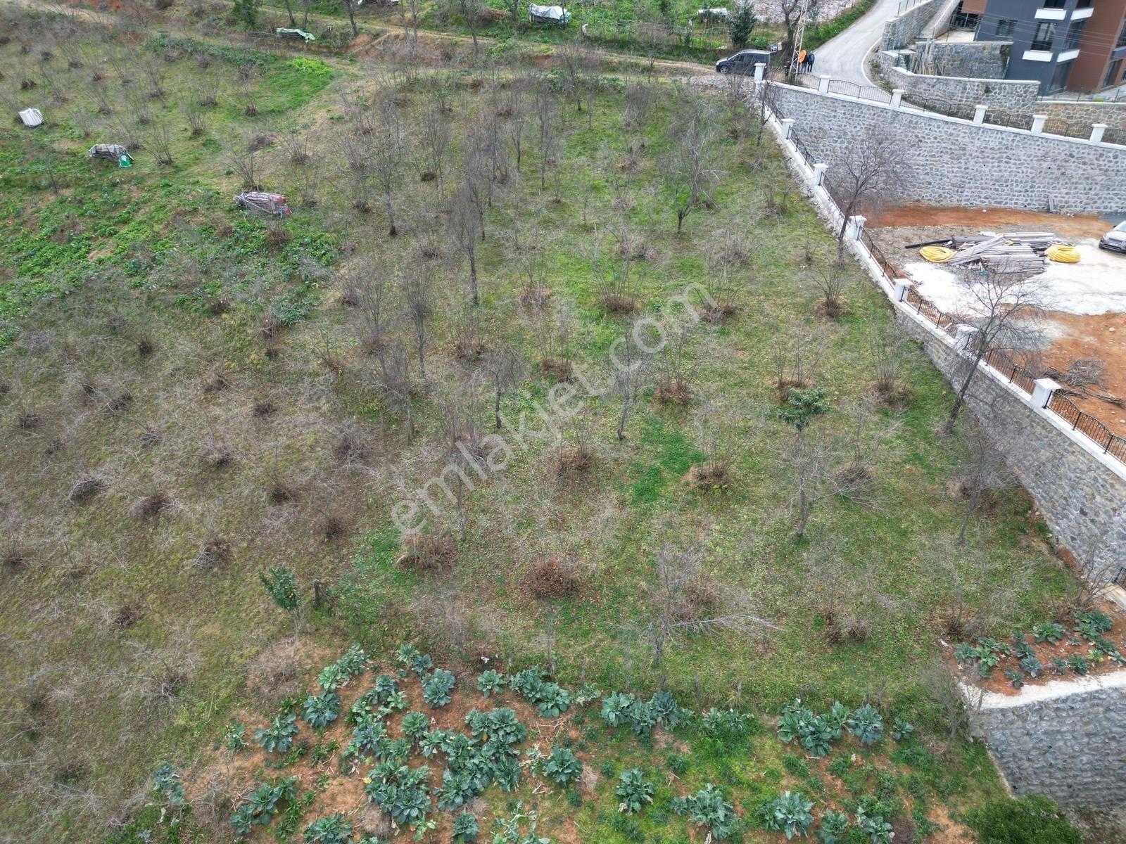 Çimenlide Deniz Manzaralı Villa İmarlı Arsa — fotoğraf 22