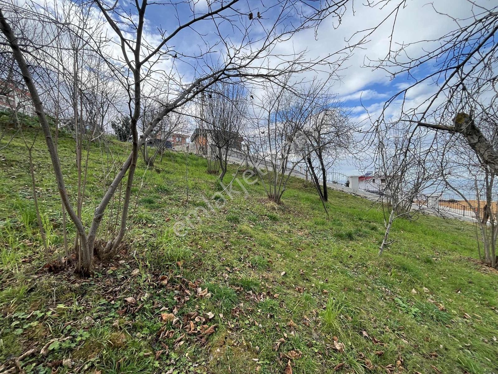 Çimenlide Deniz Manzaralı Villa İmarlı Arsa — fotoğraf 24