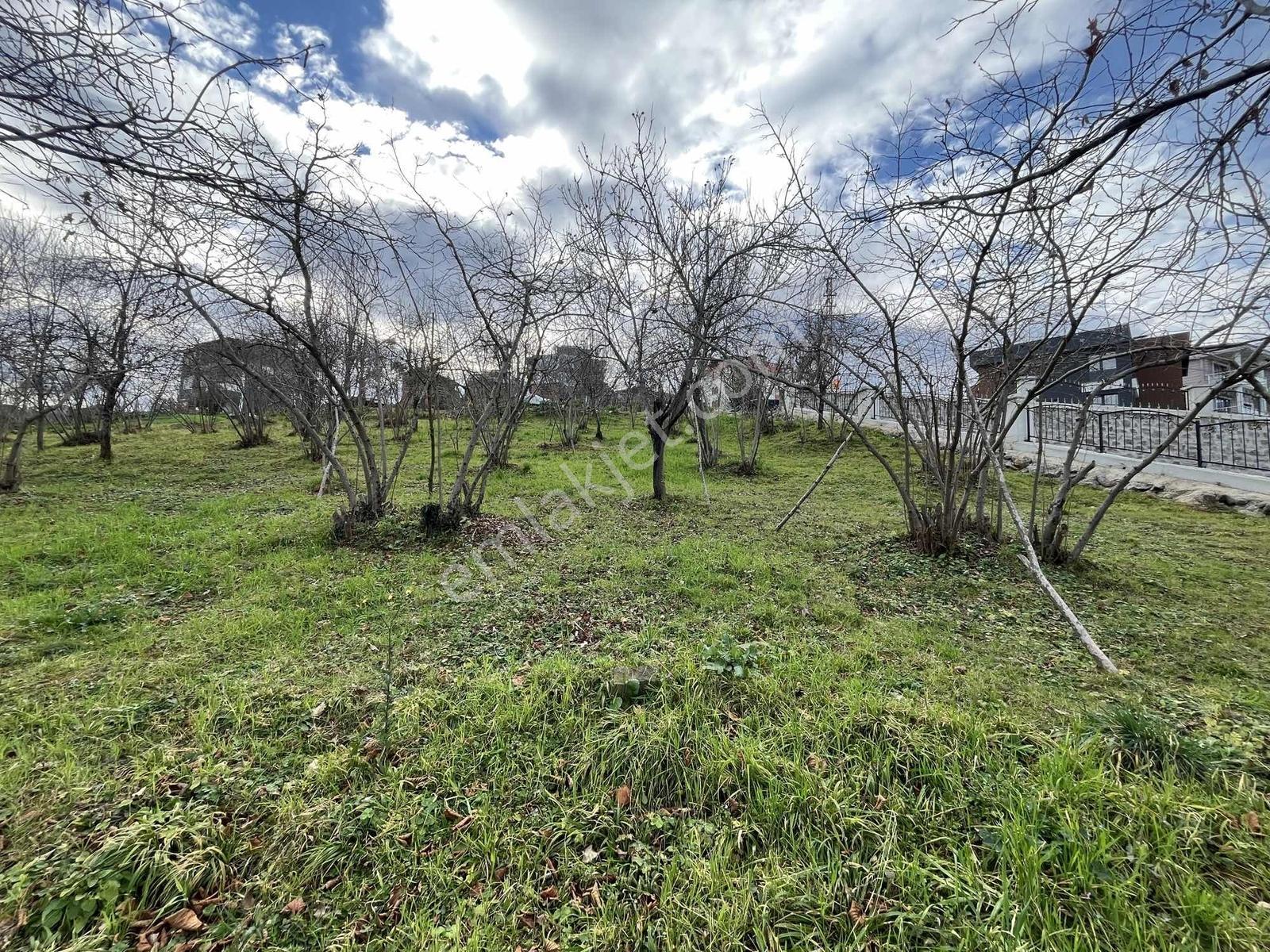 Çimenlide Deniz Manzaralı Villa İmarlı Arsa — fotoğraf 25