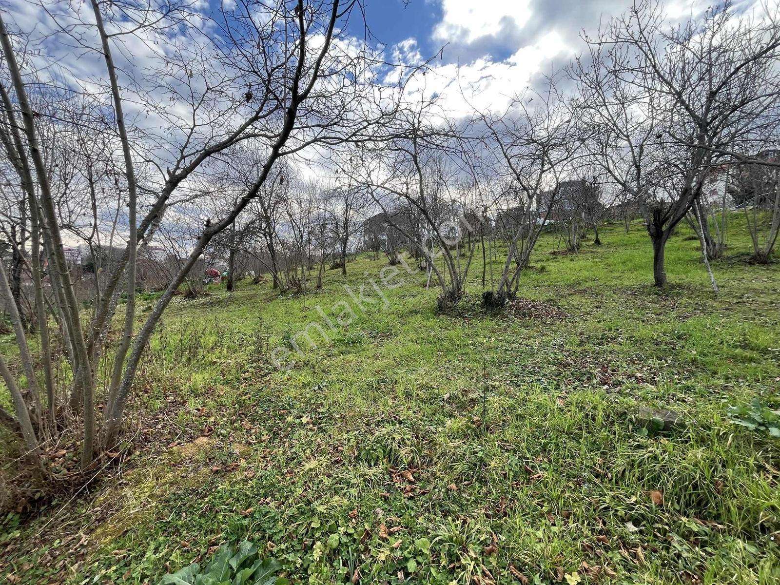 Çimenlide Deniz Manzaralı Villa İmarlı Arsa — fotoğraf 26