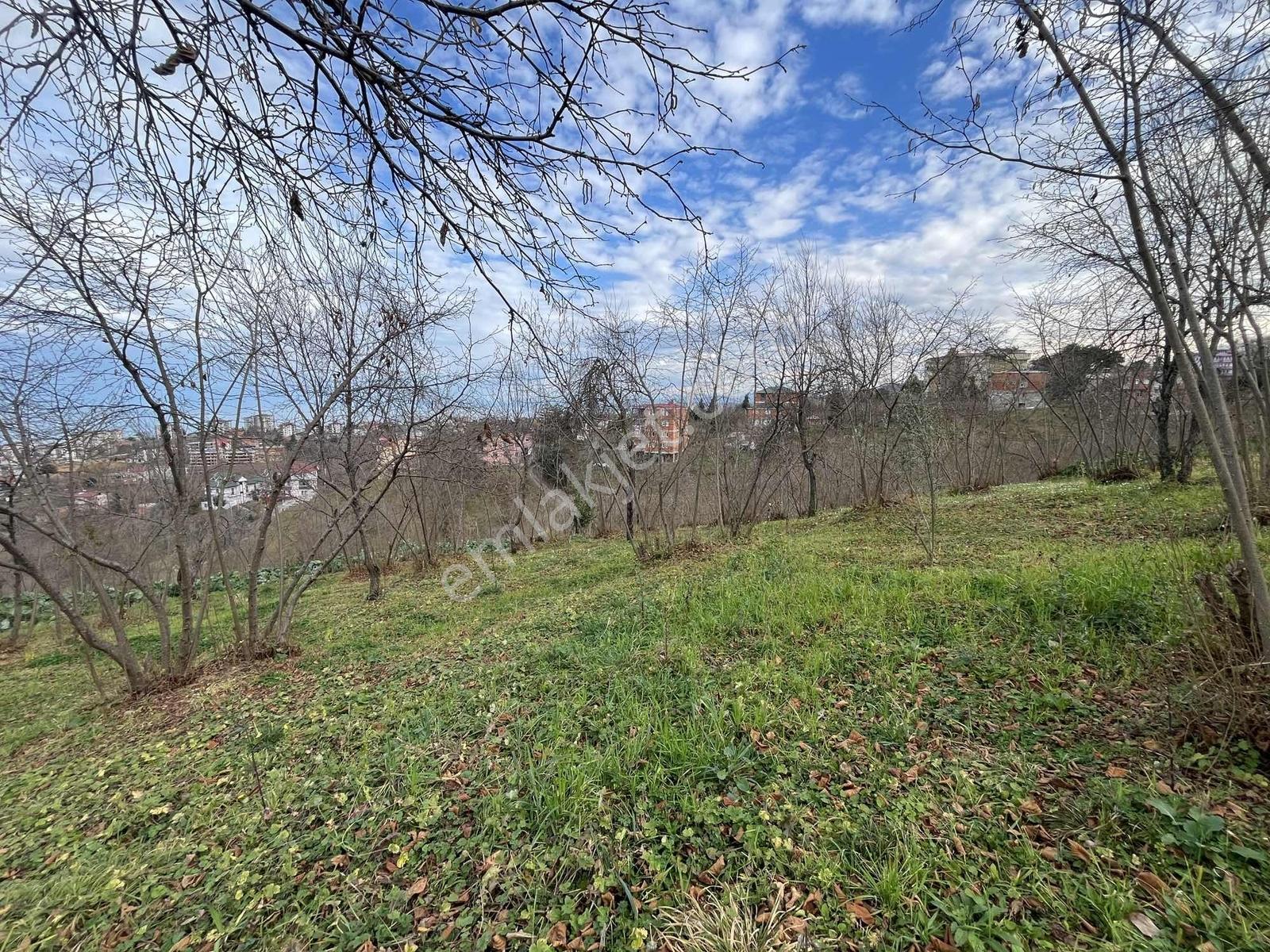 Çimenlide Deniz Manzaralı Villa İmarlı Arsa — fotoğraf 27