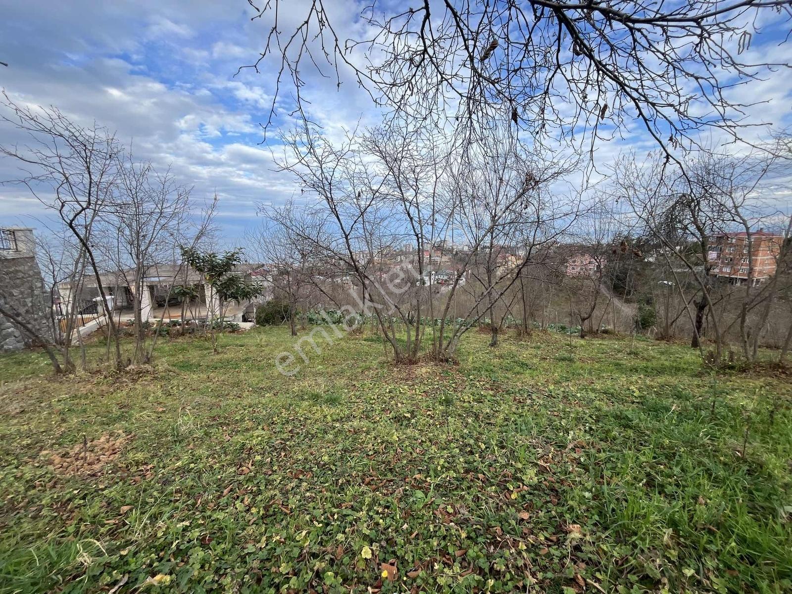 Çimenlide Deniz Manzaralı Villa İmarlı Arsa — fotoğraf 28