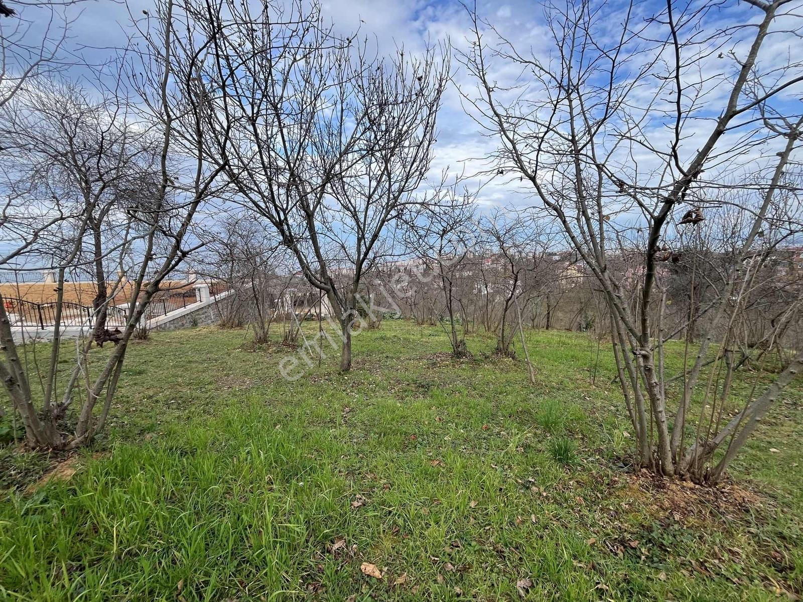 Çimenlide Deniz Manzaralı Villa İmarlı Arsa — fotoğraf 29