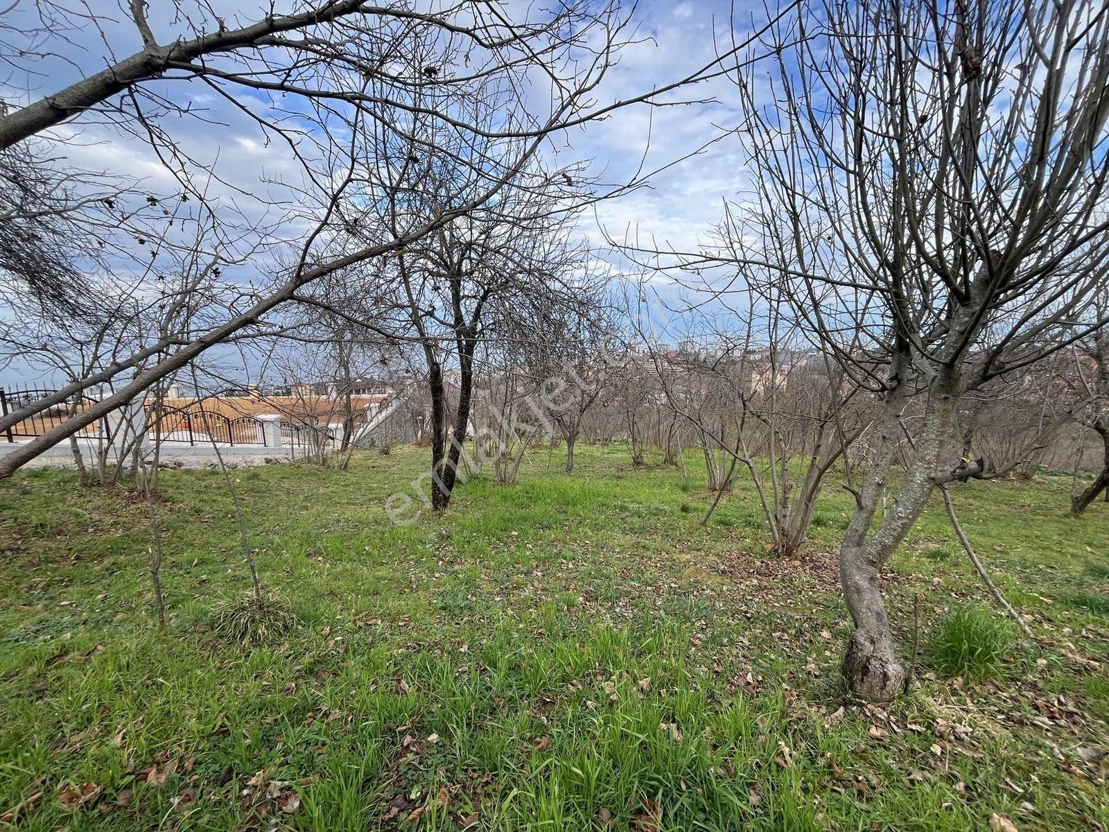 Çimenlide Deniz Manzaralı Villa İmarlı Arsa — fotoğraf 30