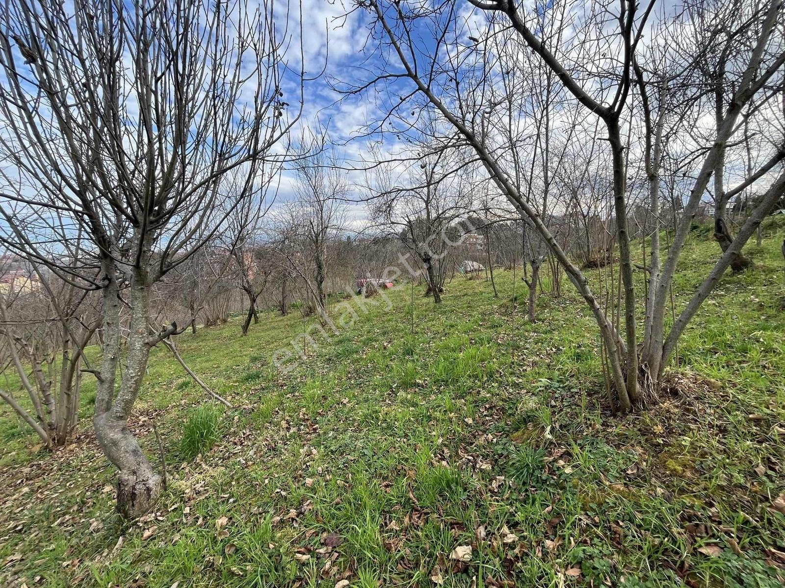 Çimenlide Deniz Manzaralı Villa İmarlı Arsa — fotoğraf 31