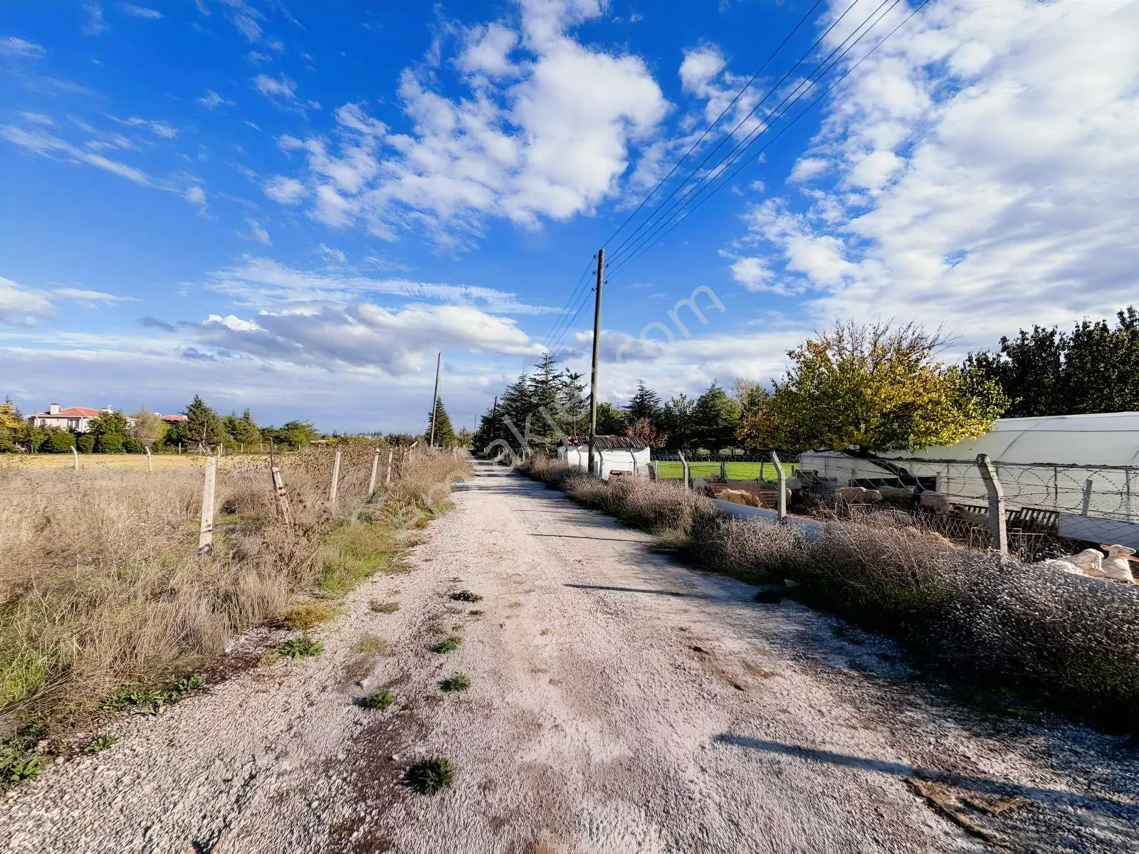Rw Nestten Keskin Söğütönü Yolu Üzerinde 4925 M2 Satılık Tarla — fotoğraf 2