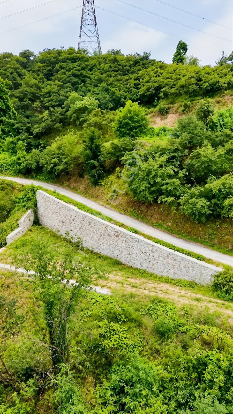 Yomra Gürsel Projesi Hazır! Sıra Hayalinizi Gerçekleştirmekte — fotoğraf 3