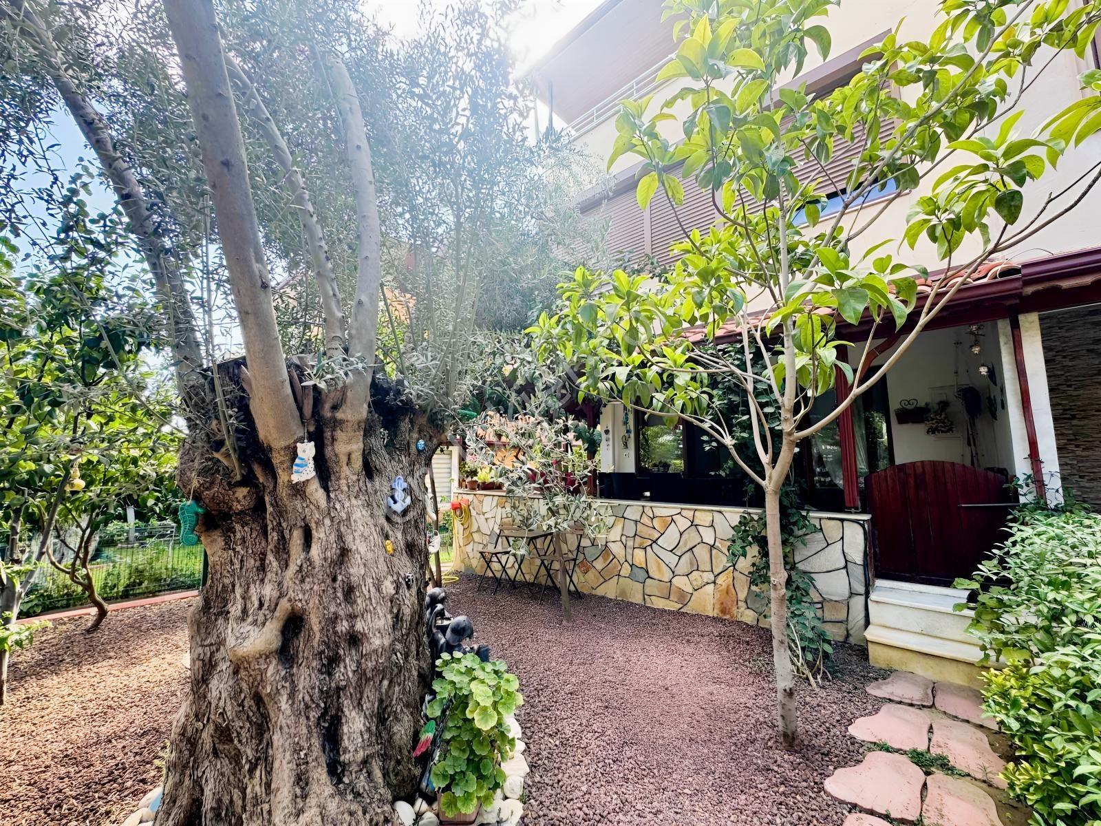 Tahtakuşlar Denize 800mt Satılık Villa Bahçe Kullanımlı Fırsat — fotoğraf 19