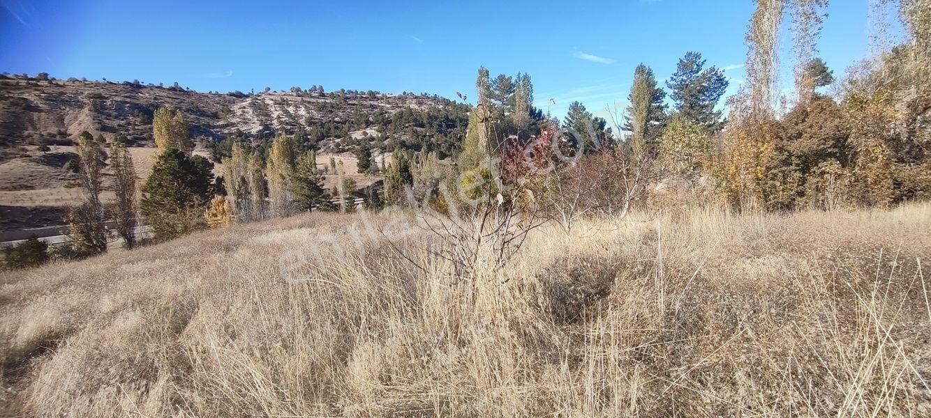 Çameli Kınıkyeri İki Parsel Topşam 955 M2 Çok Uyguna Tarla