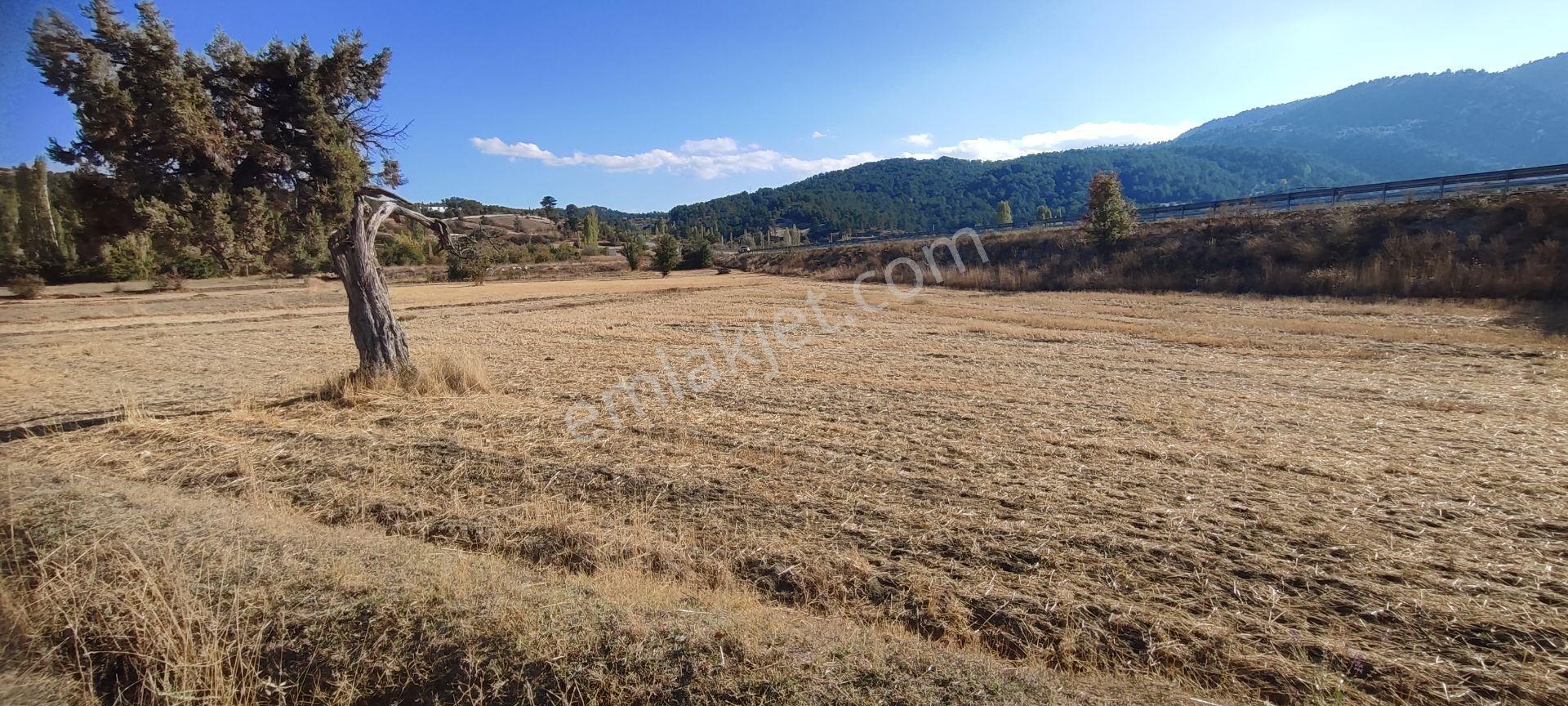 Fethiye Yoluna Sıfır 1820 M2 Yerleşime Sıfır Tarla