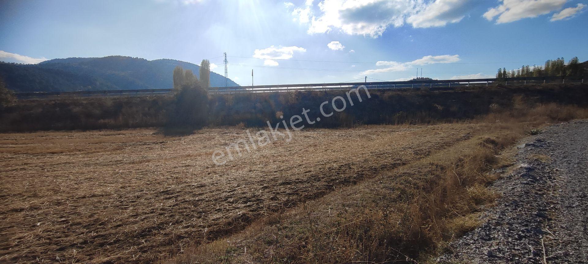 Fethiye Yoluna Sıfır 1820 M2 Yerleşime Sıfır Tarla — fotoğraf 2