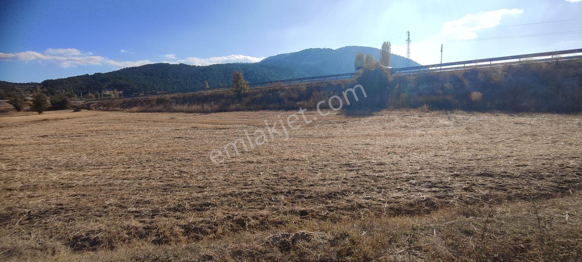 Fethiye Yoluna Sıfır 1820 M2 Yerleşime Sıfır Tarla — fotoğraf 4