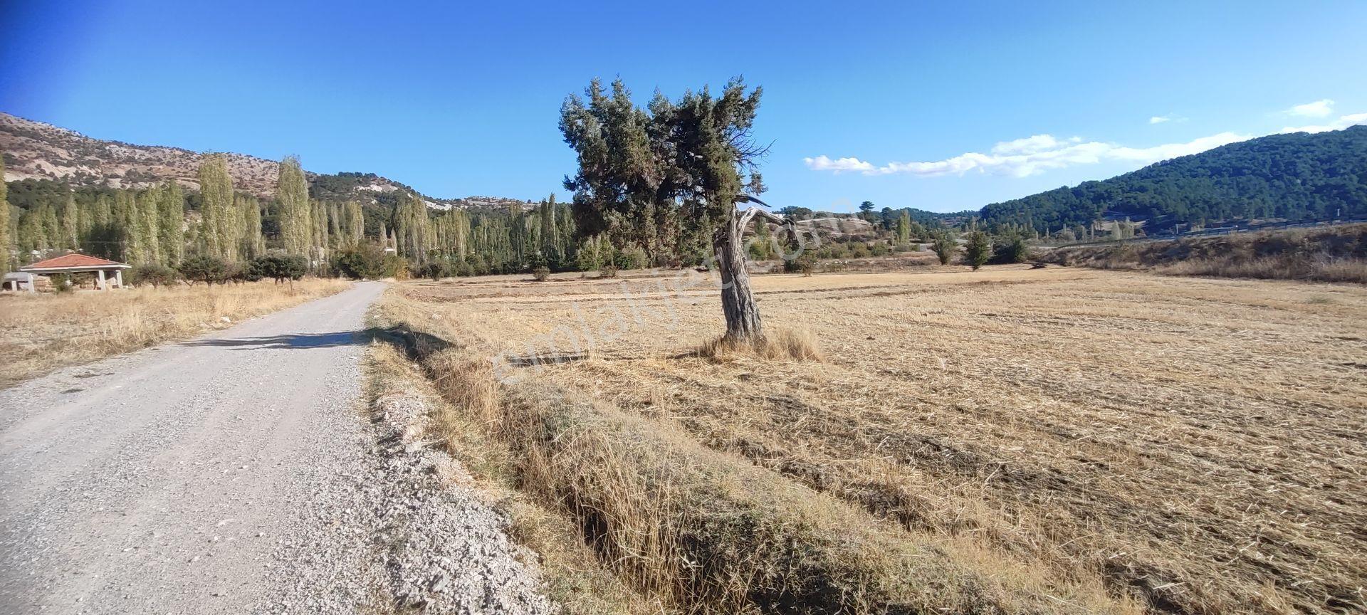 Fethiye Yoluna Sıfır 1820 M2 Yerleşime Sıfır Tarla — fotoğraf 5