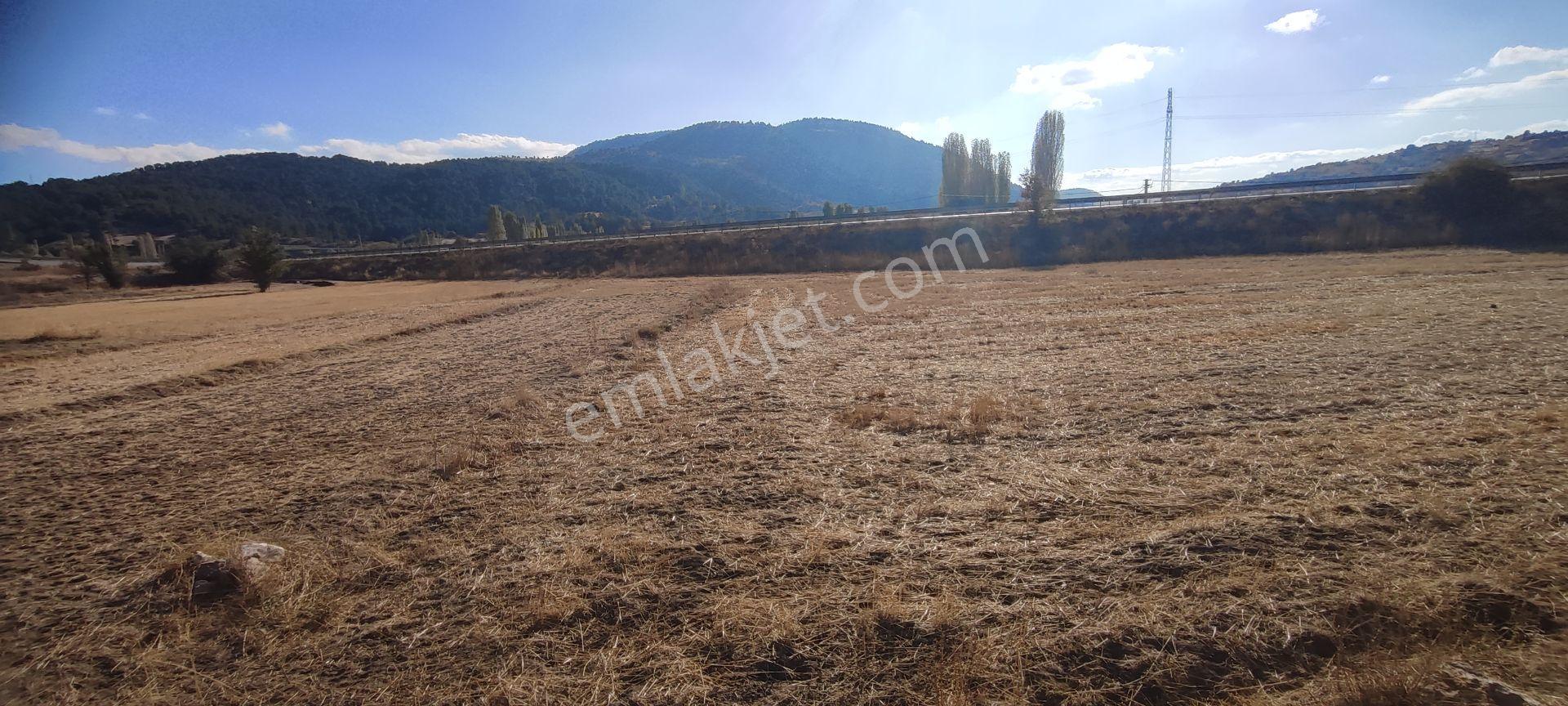 Fethiye Yoluna Sıfır 1820 M2 Yerleşime Sıfır Tarla — fotoğraf 6