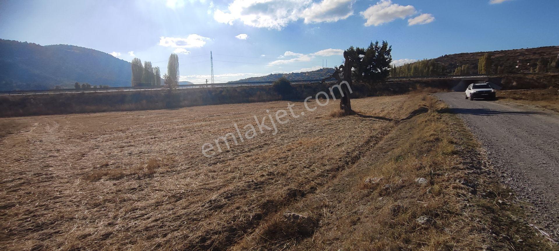 Fethiye Yoluna Sıfır 1820 M2 Yerleşime Sıfır Tarla — fotoğraf 7