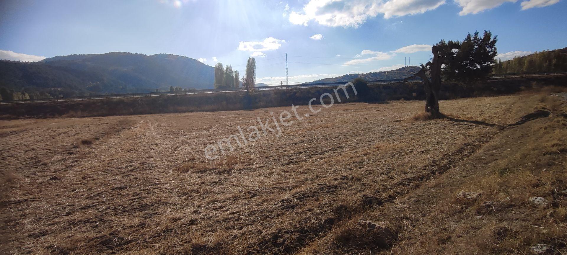 Fethiye Yoluna Sıfır 1820 M2 Yerleşime Sıfır Tarla — fotoğraf 8