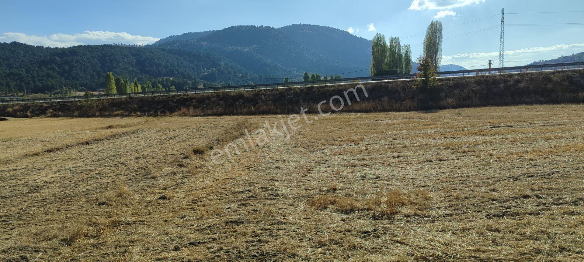 Fethiye Yoluna Sıfır 1820 M2 Yerleşime Sıfır Tarla — fotoğraf 9